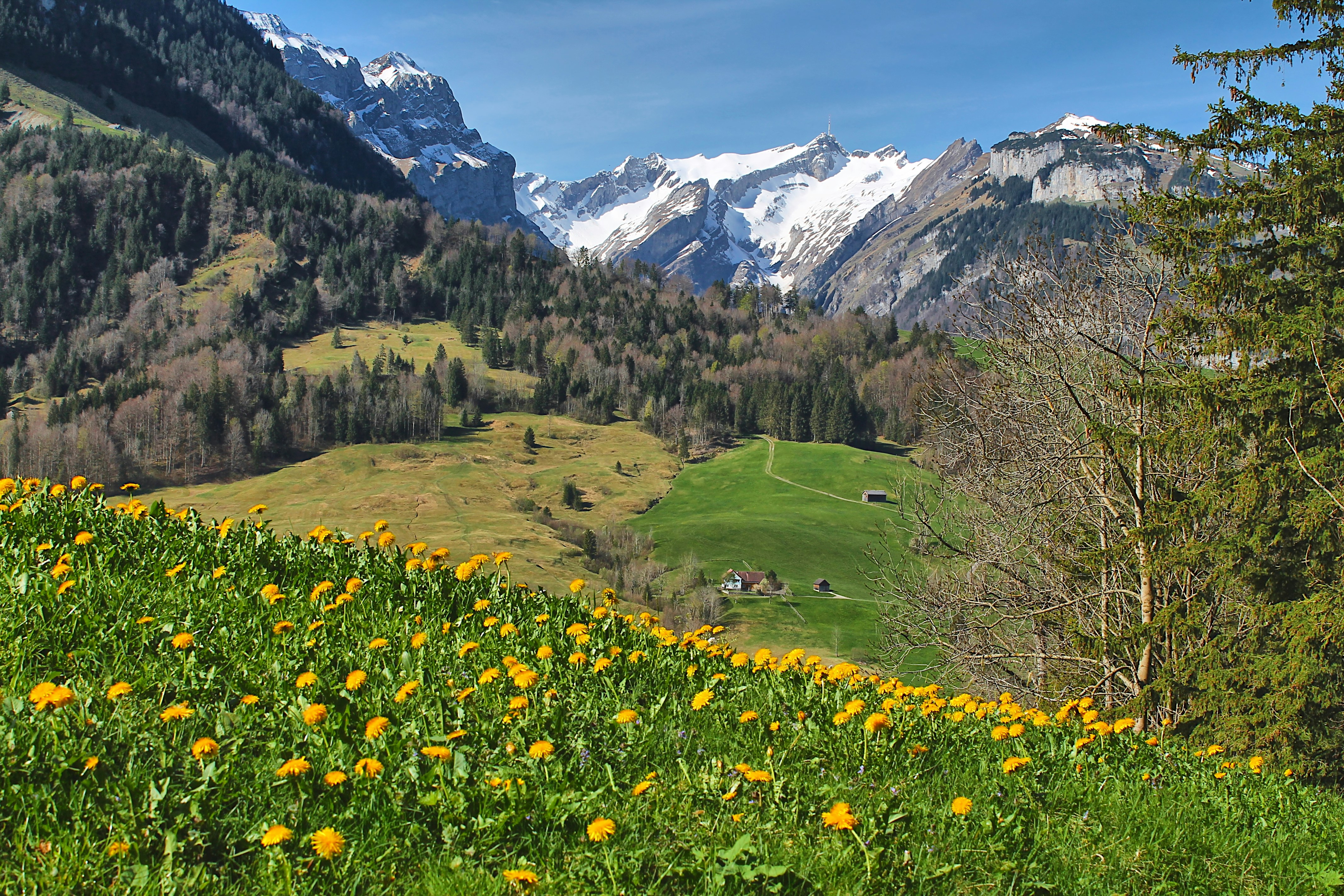 Frühling im Alpstein
